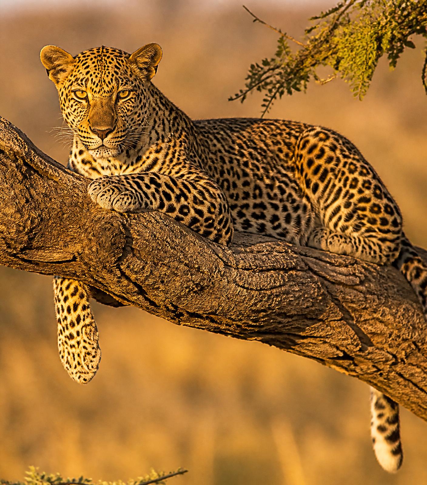 Tarangire National Park
