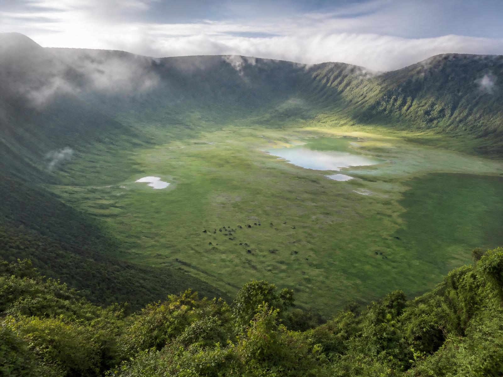 Ngorongoro Crater